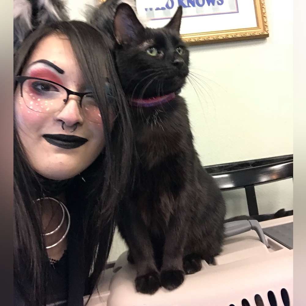 Meet your Posher, Samantha